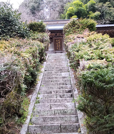 nanohana