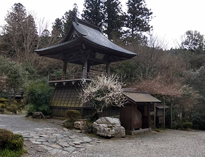 nanohana