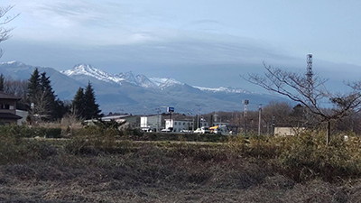 nanohana