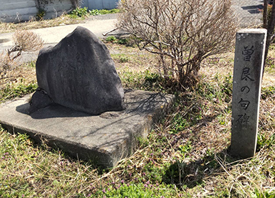 kasnebashi
