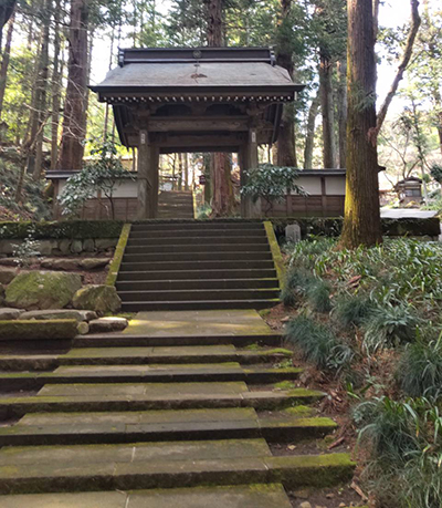 nanohana