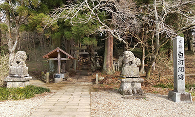 nanohana