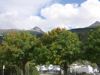 skagway